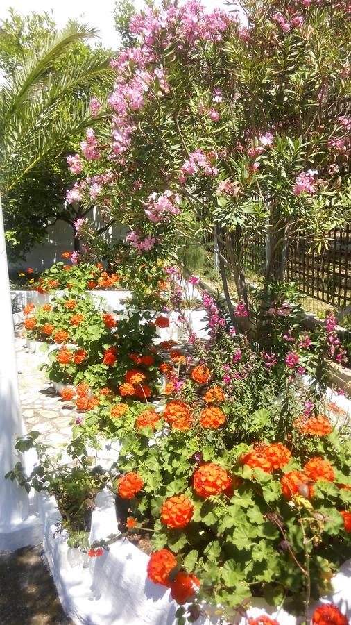 Gorgona Rooms Aliki  Exterior photo