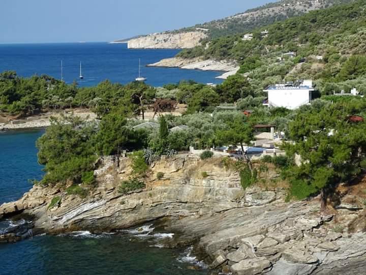 Gorgona Rooms Aliki  Exterior photo